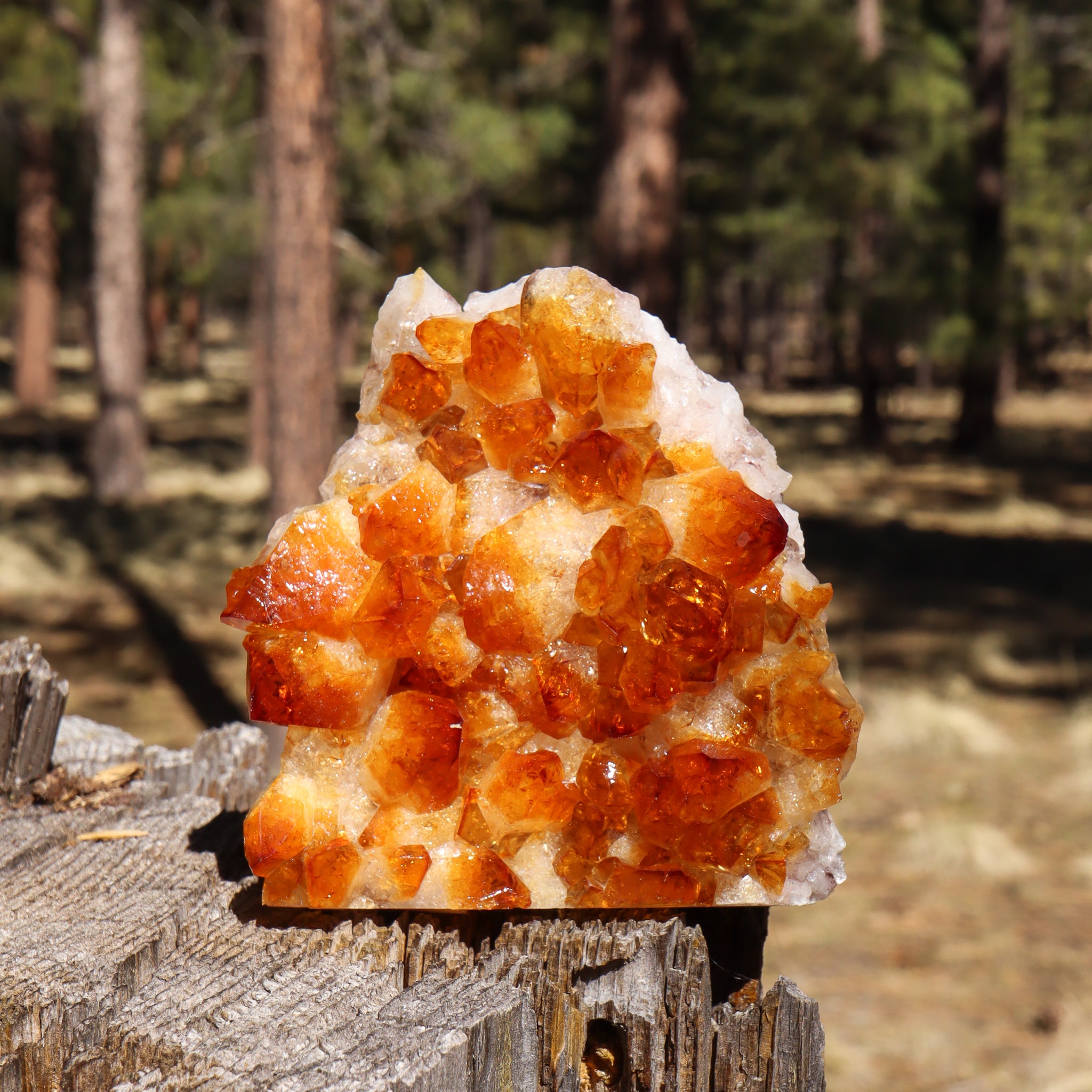 Base Cut Citrine Geode