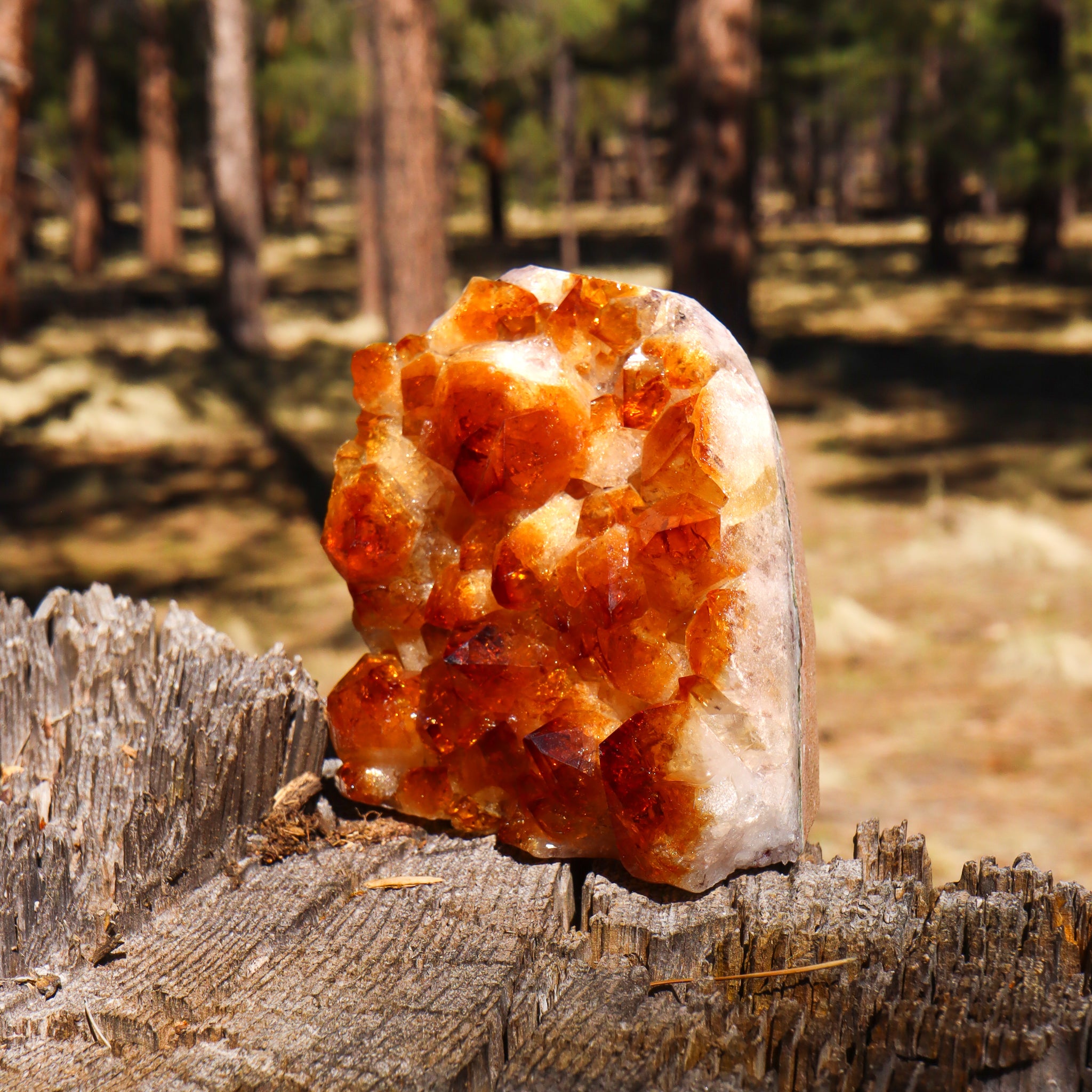 Base Cut Citrine Geode