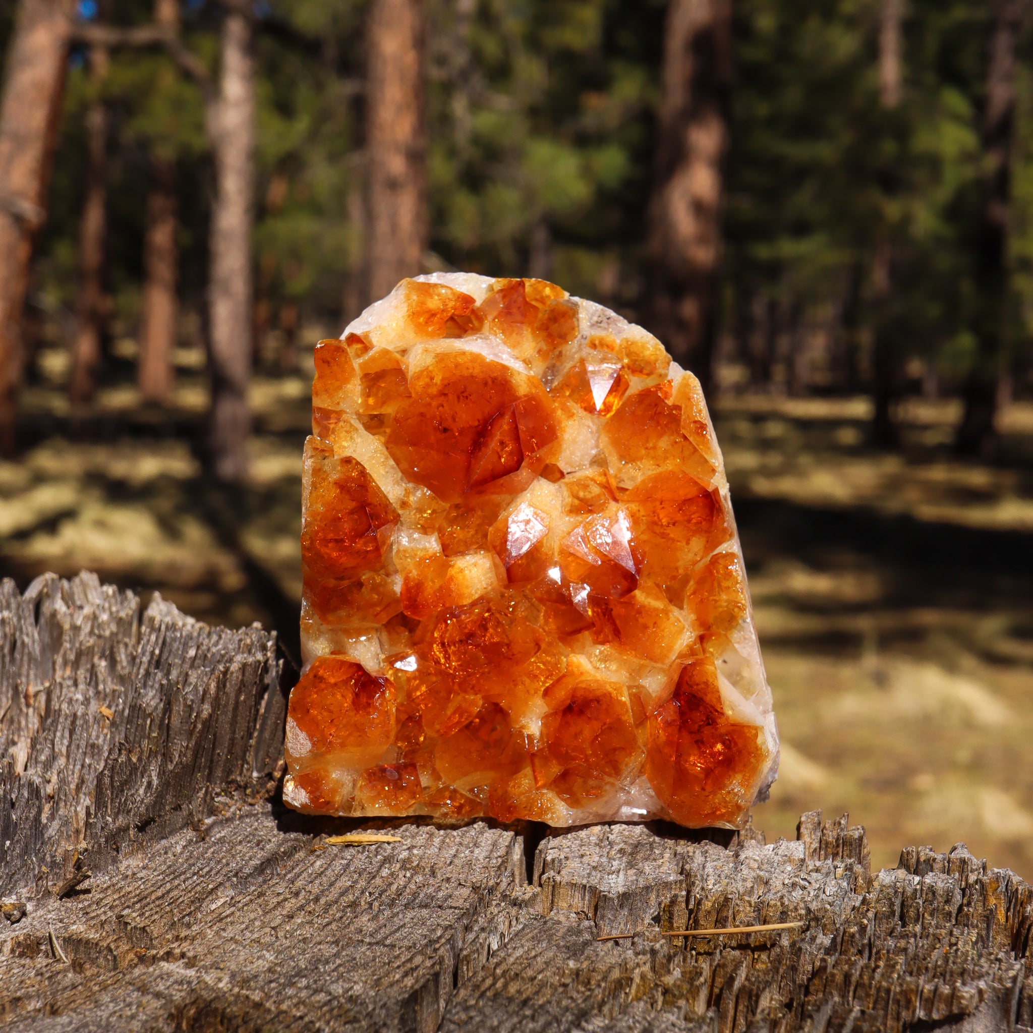 Base Cut Citrine Geode