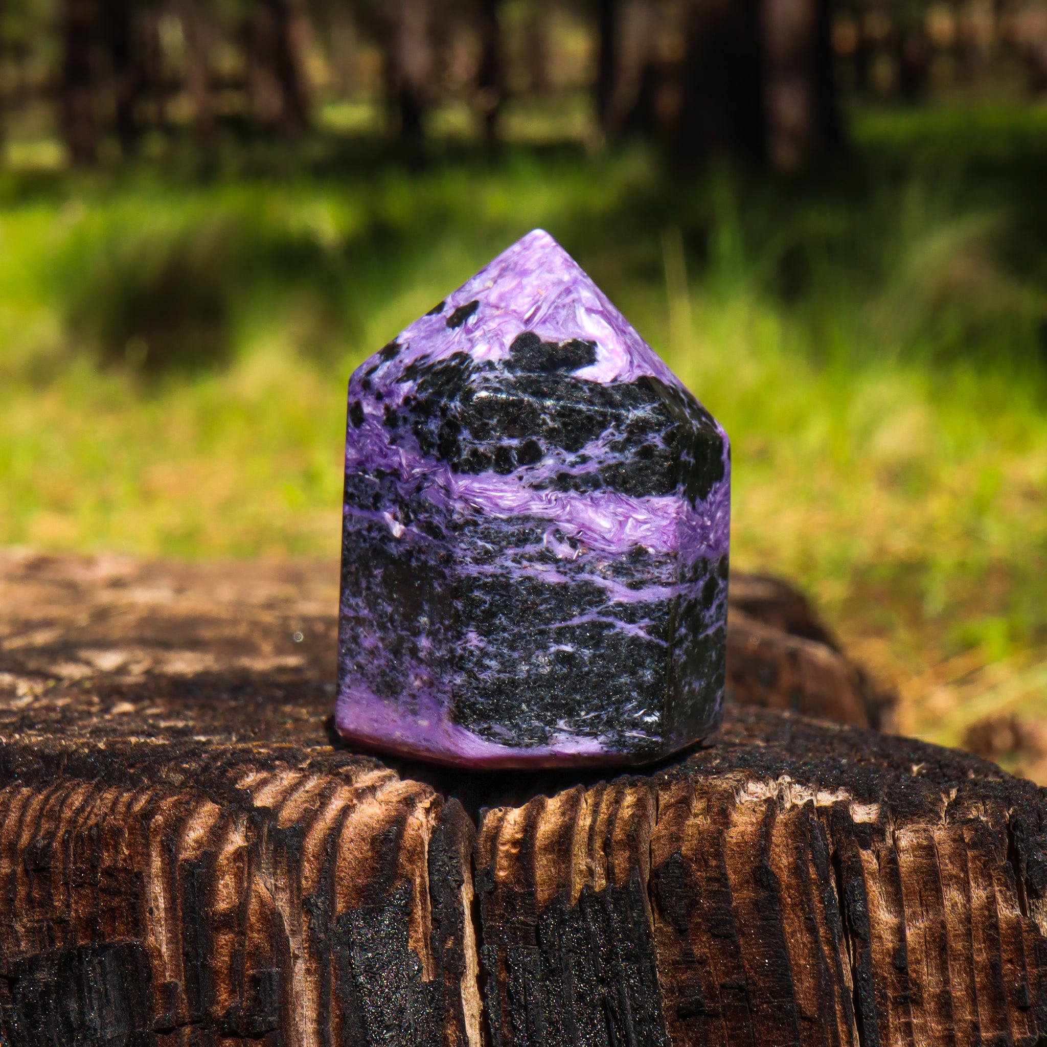 Charoite Point
