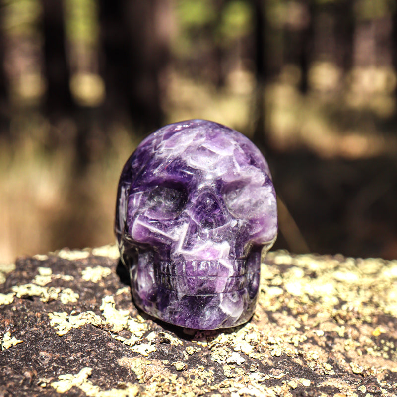 Amethyst Chevron Skull