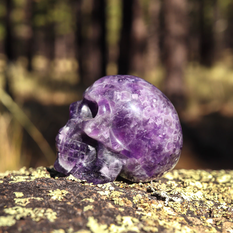 Amethyst Chevron Skull