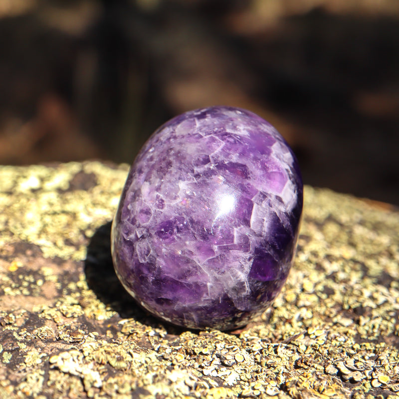 Amethyst Chevron Skull