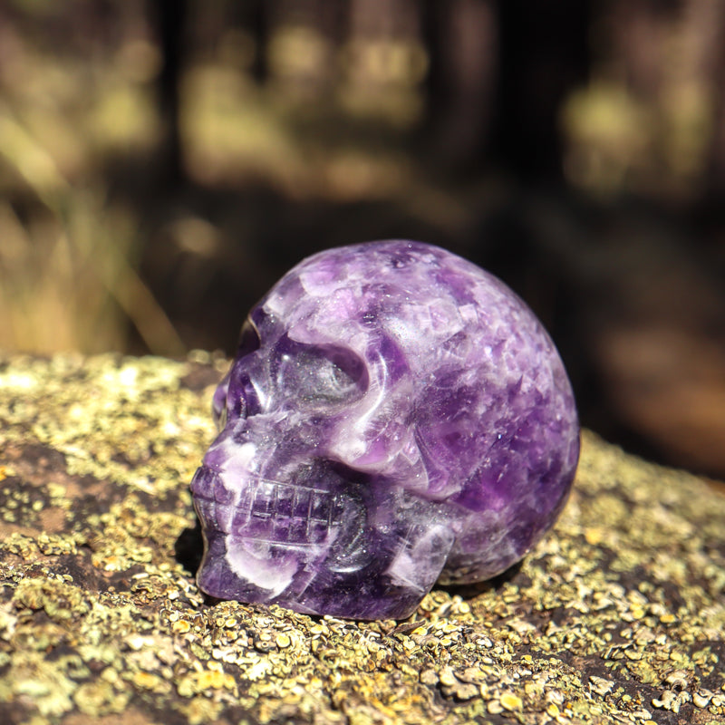 Amethyst Chevron Skull