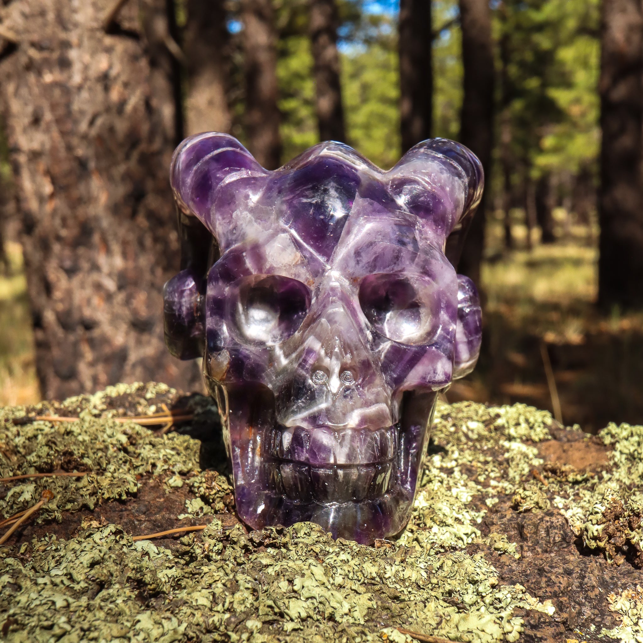 Amethyst Chevron Skull with Horns