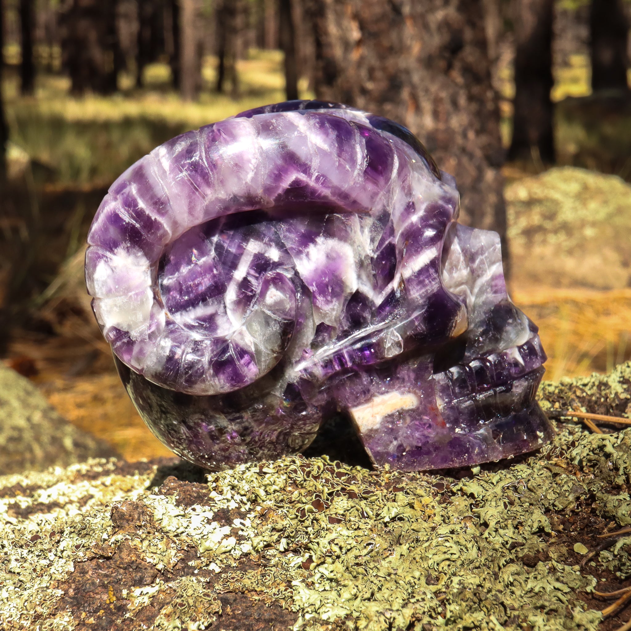Amethyst Chevron Skull with Horns