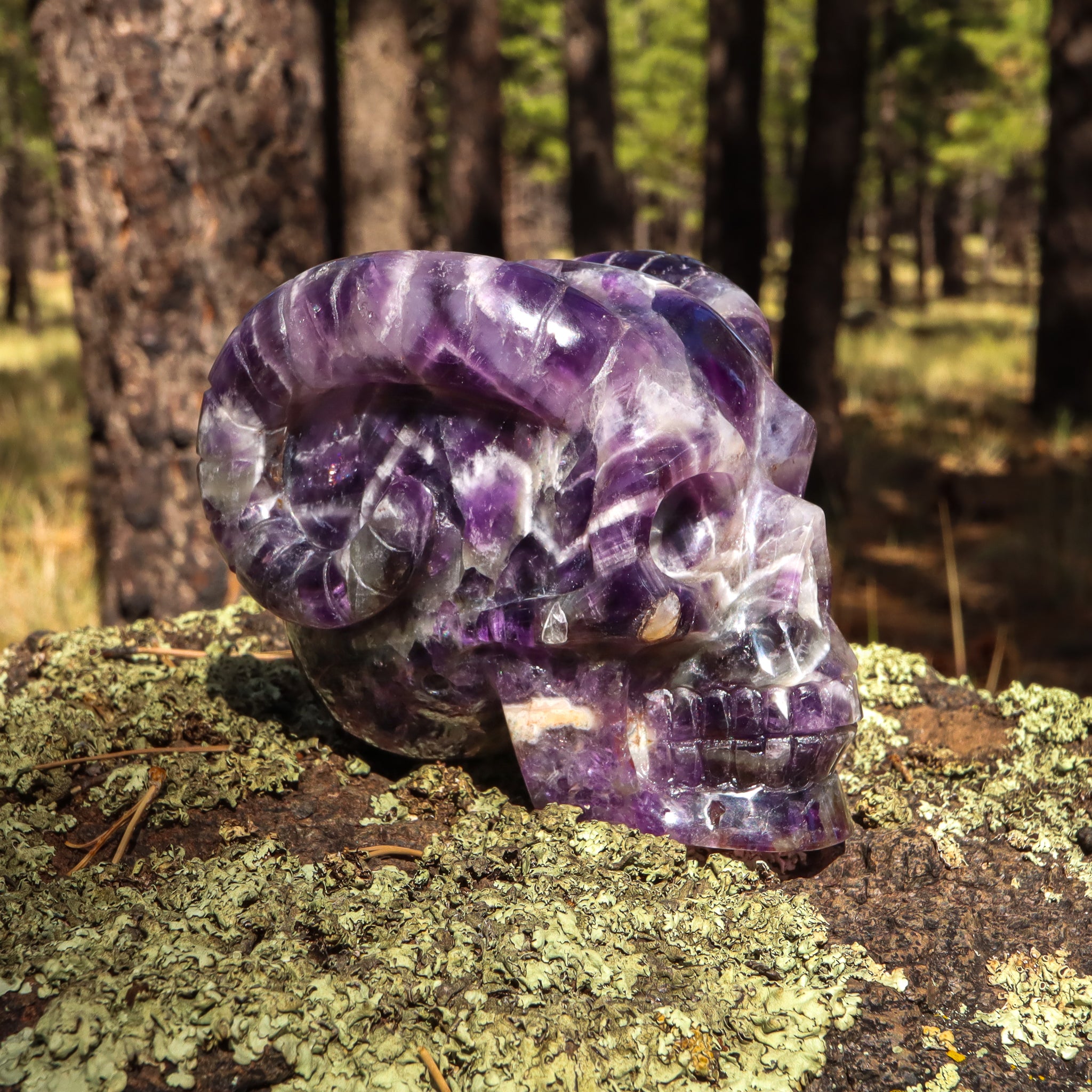 Amethyst Chevron Skull with Horns