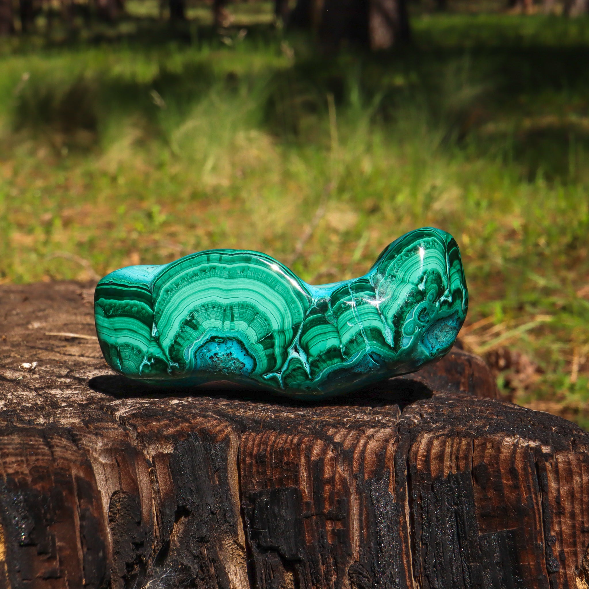Malachite and Chrysocolla Free Form