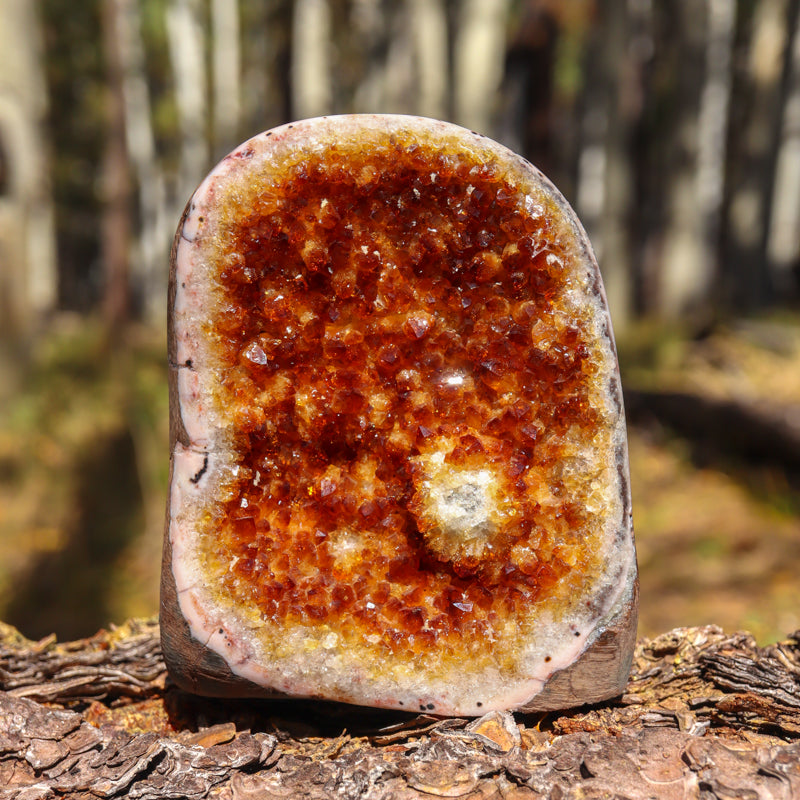 Base Cut Citrine Geode