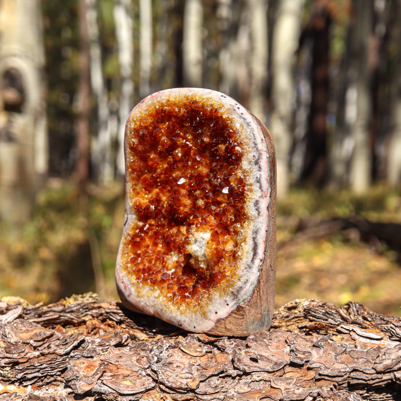 Base Cut Citrine Geode