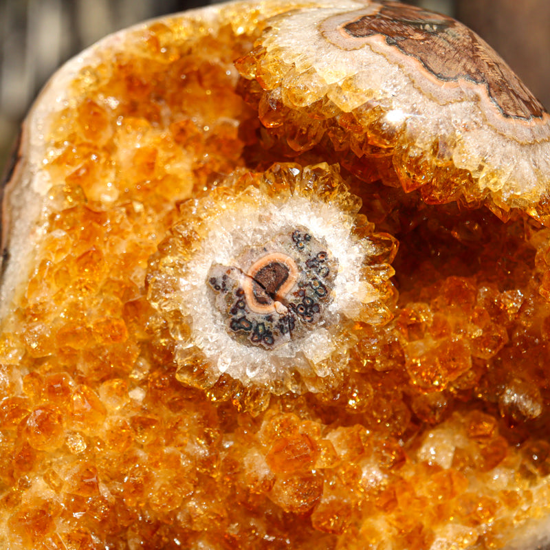 Base Cut Citrine Geode