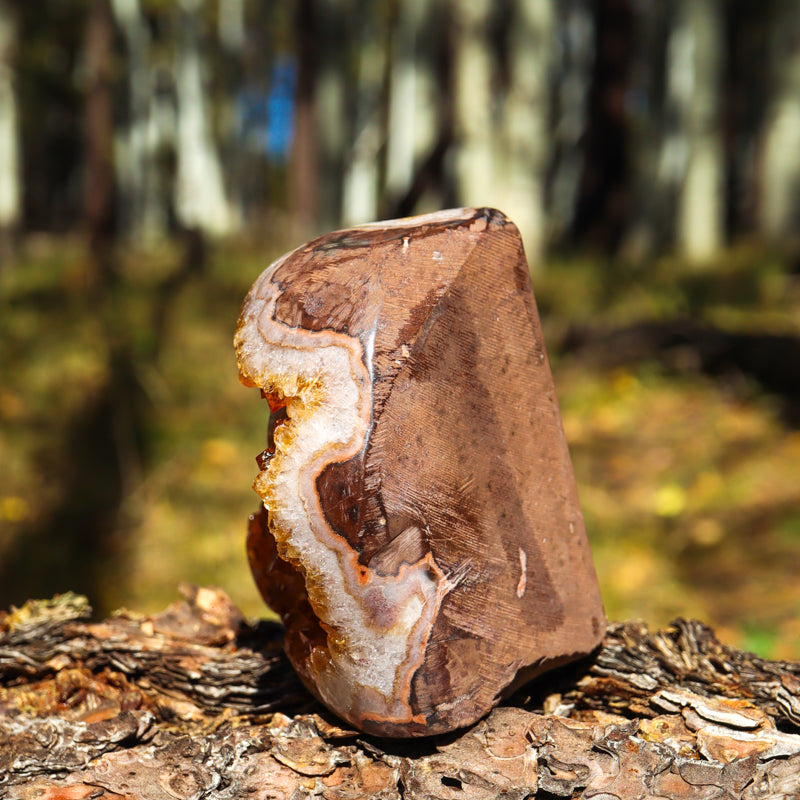 Base Cut Citrine Geode