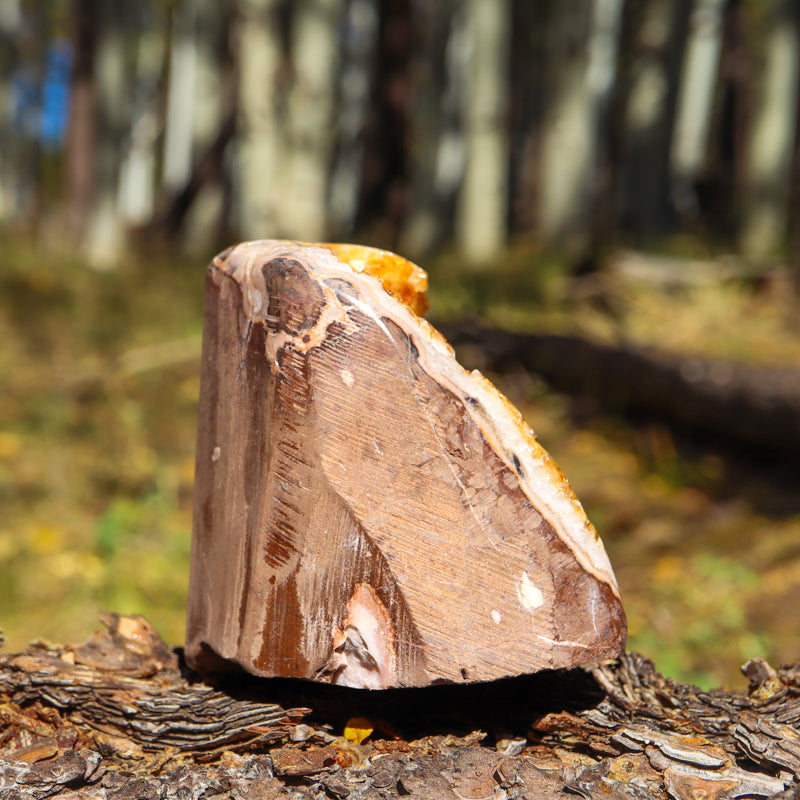 Base Cut Citrine Geode