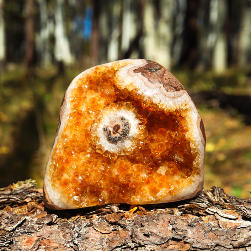 Base Cut Citrine Geode