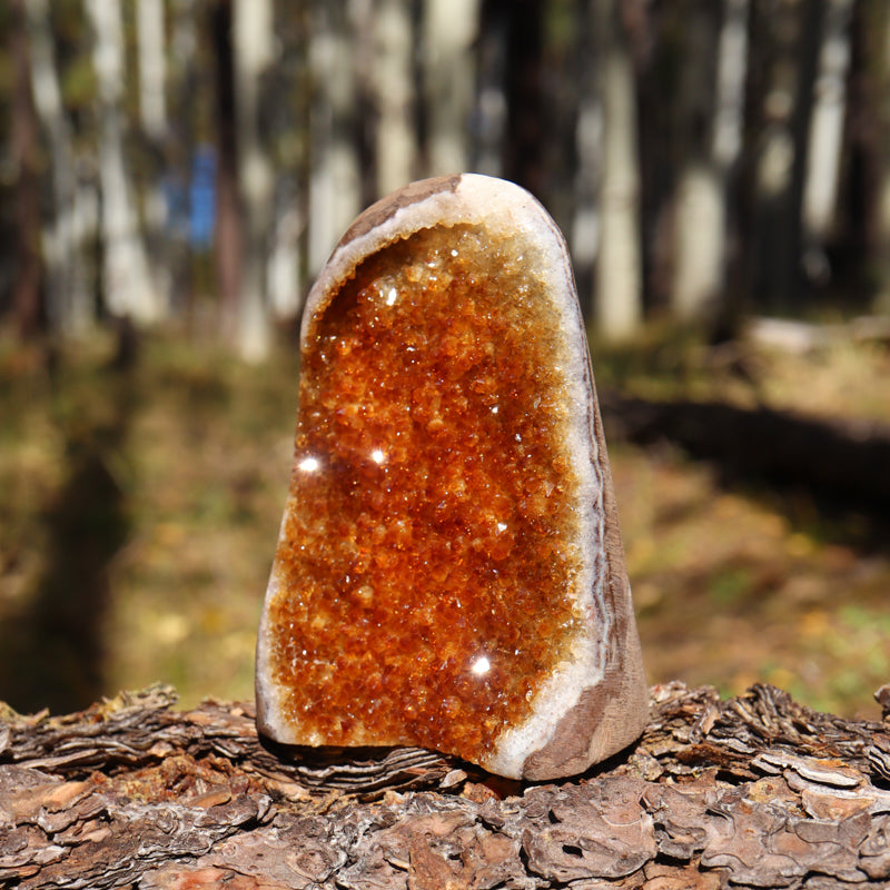 Base Cut Citrine Geode