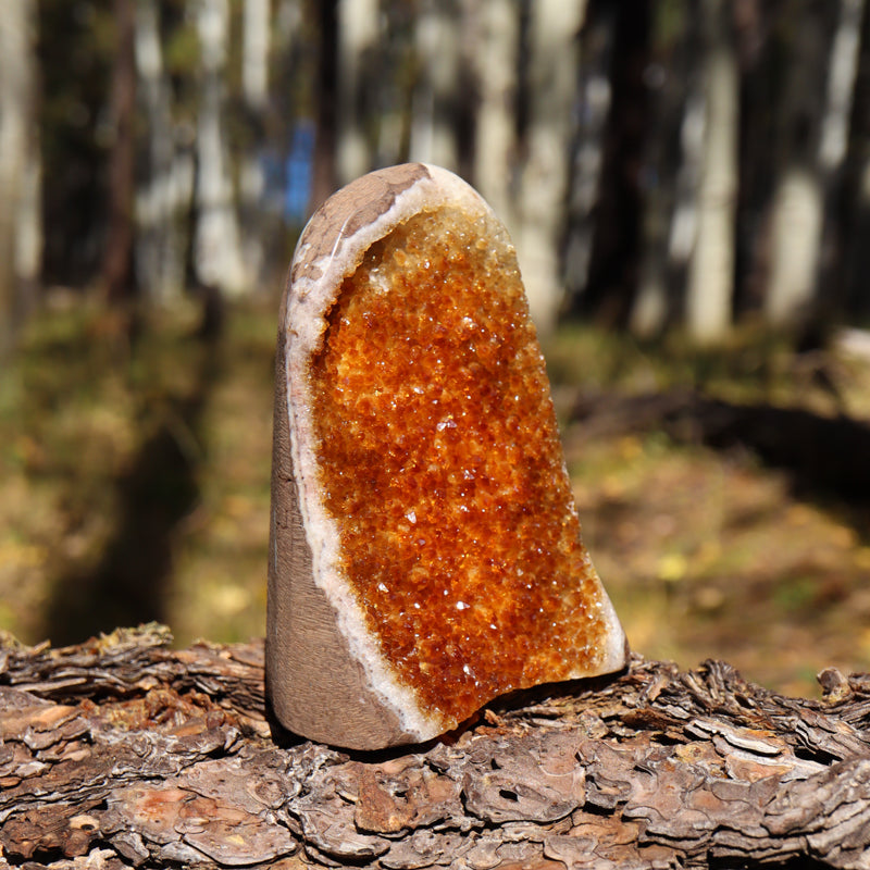 Base Cut Citrine Geode