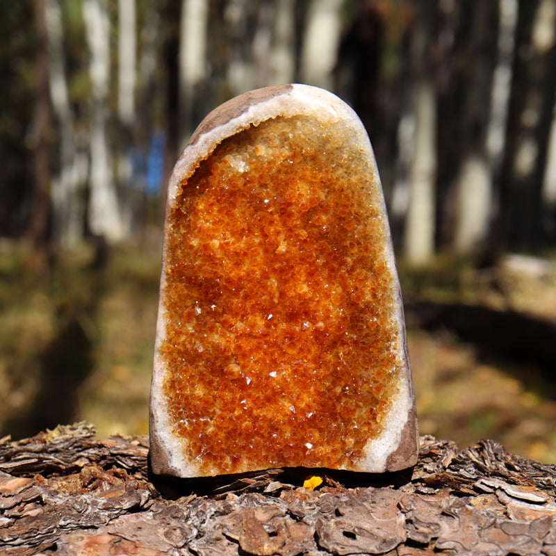 Base Cut Citrine Geode