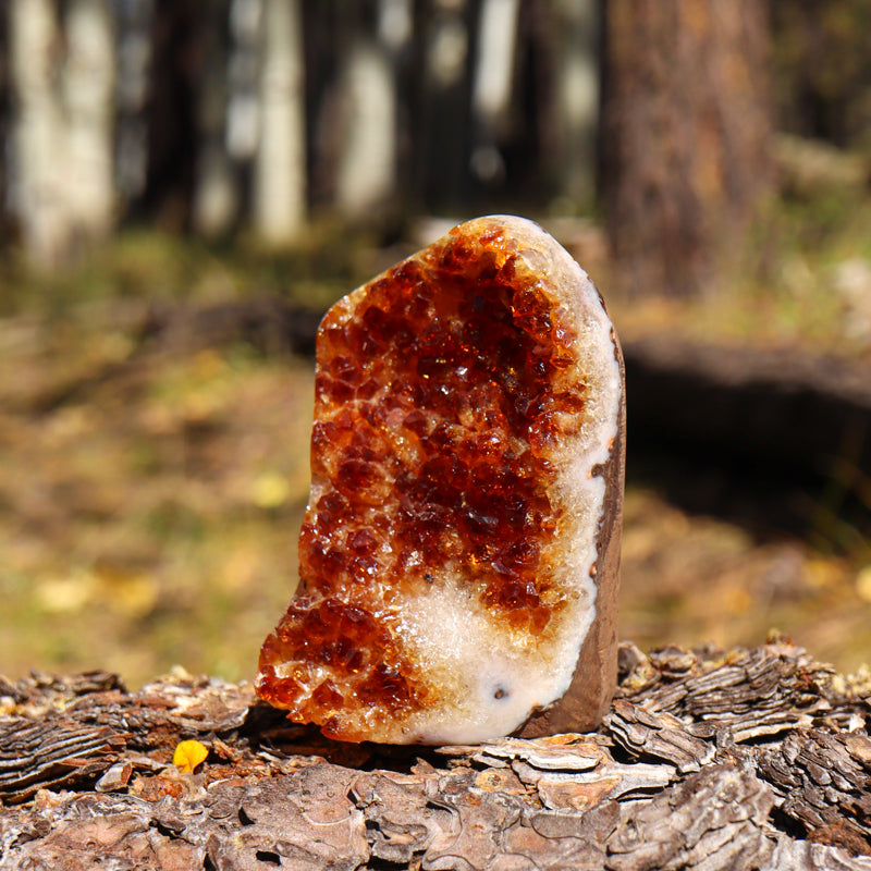 Base Cut Citrine Geode