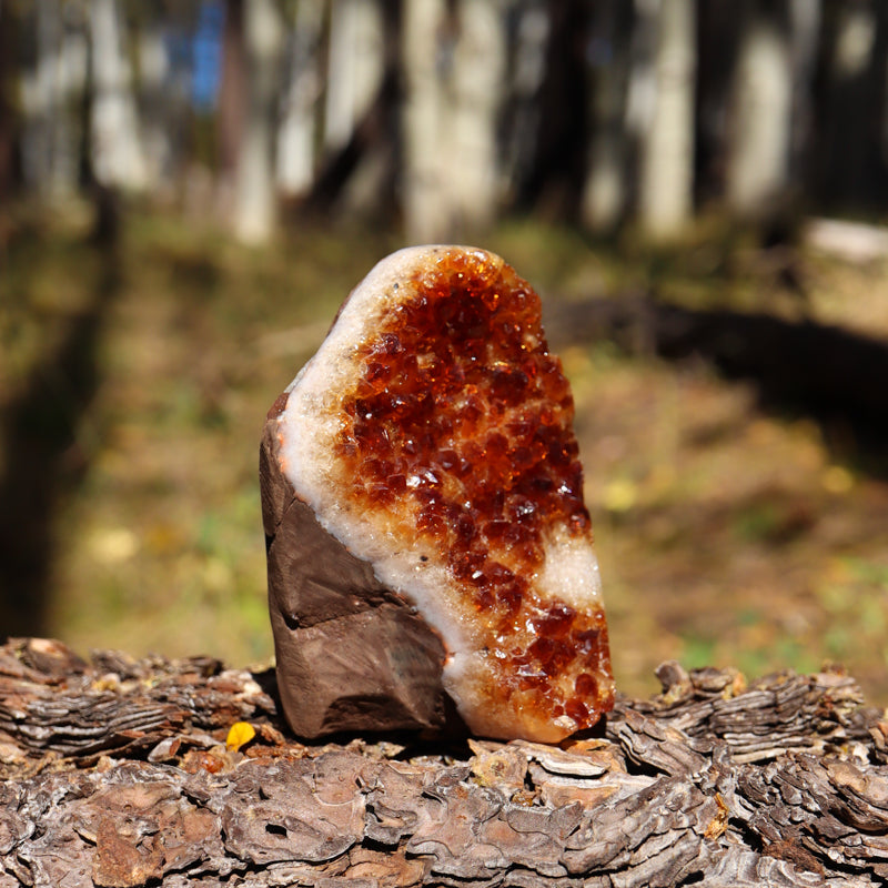 Base Cut Citrine Geode