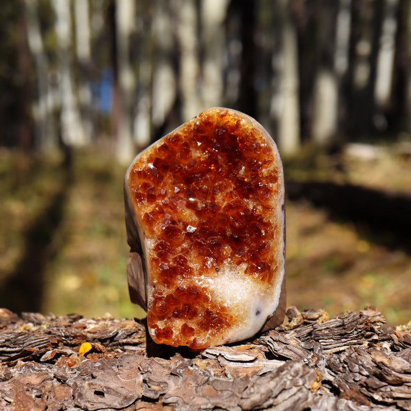 Base Cut Citrine Geode