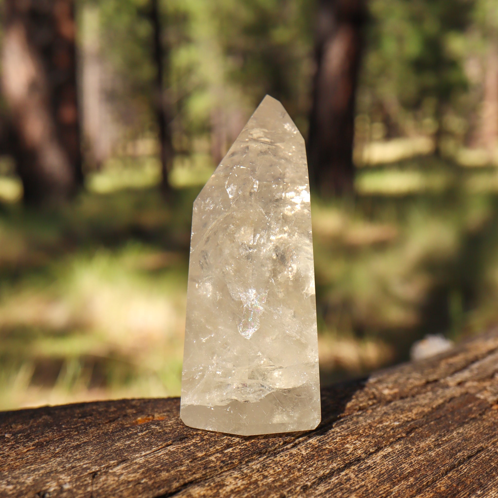 Natural Citrine Point