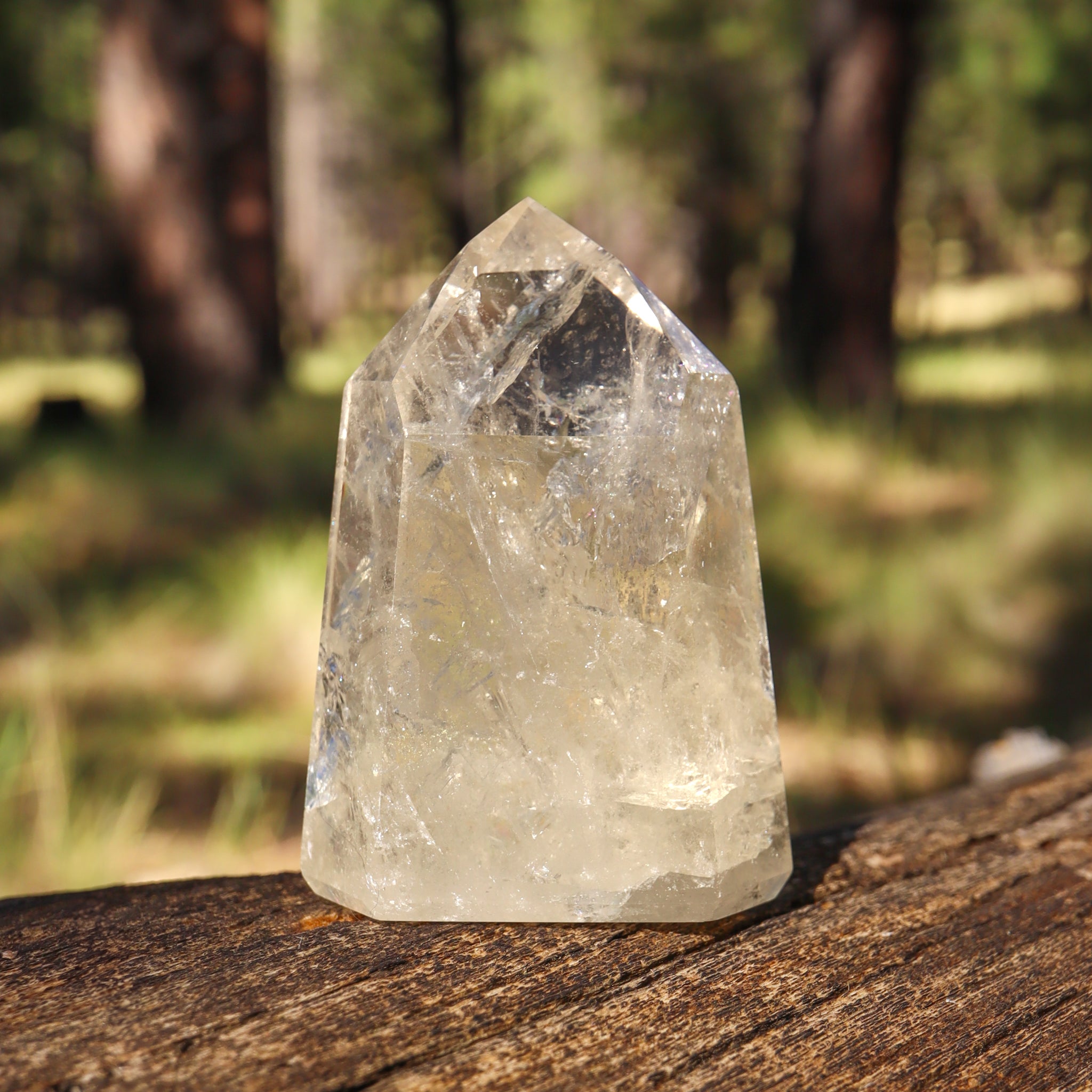 Natural Citrine Point