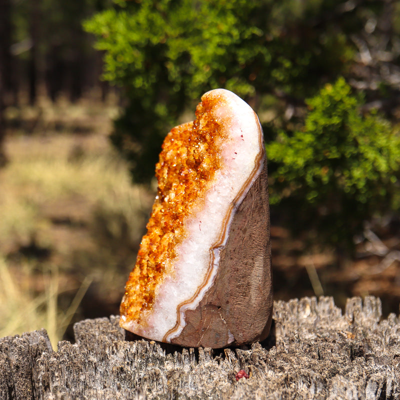 Base Cut Citrine Geode