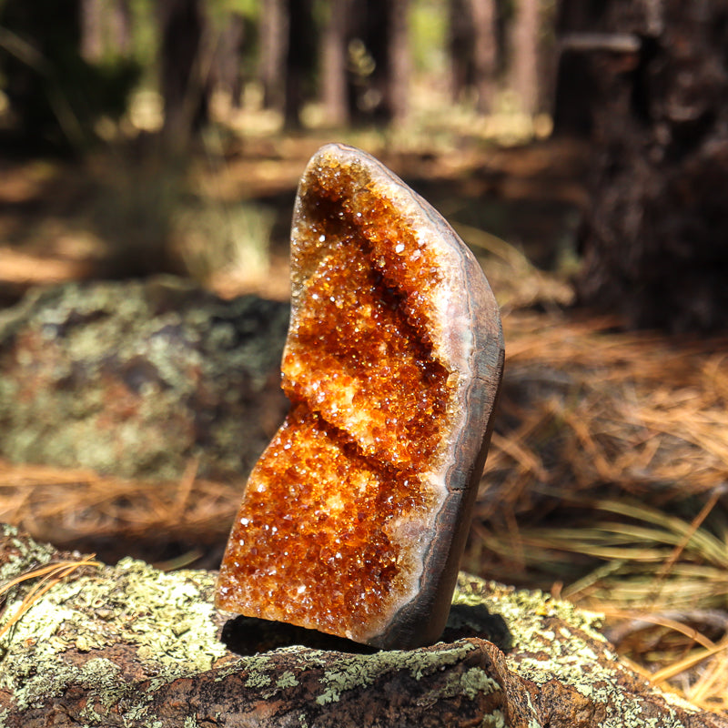 Base Cut Citrine Geode