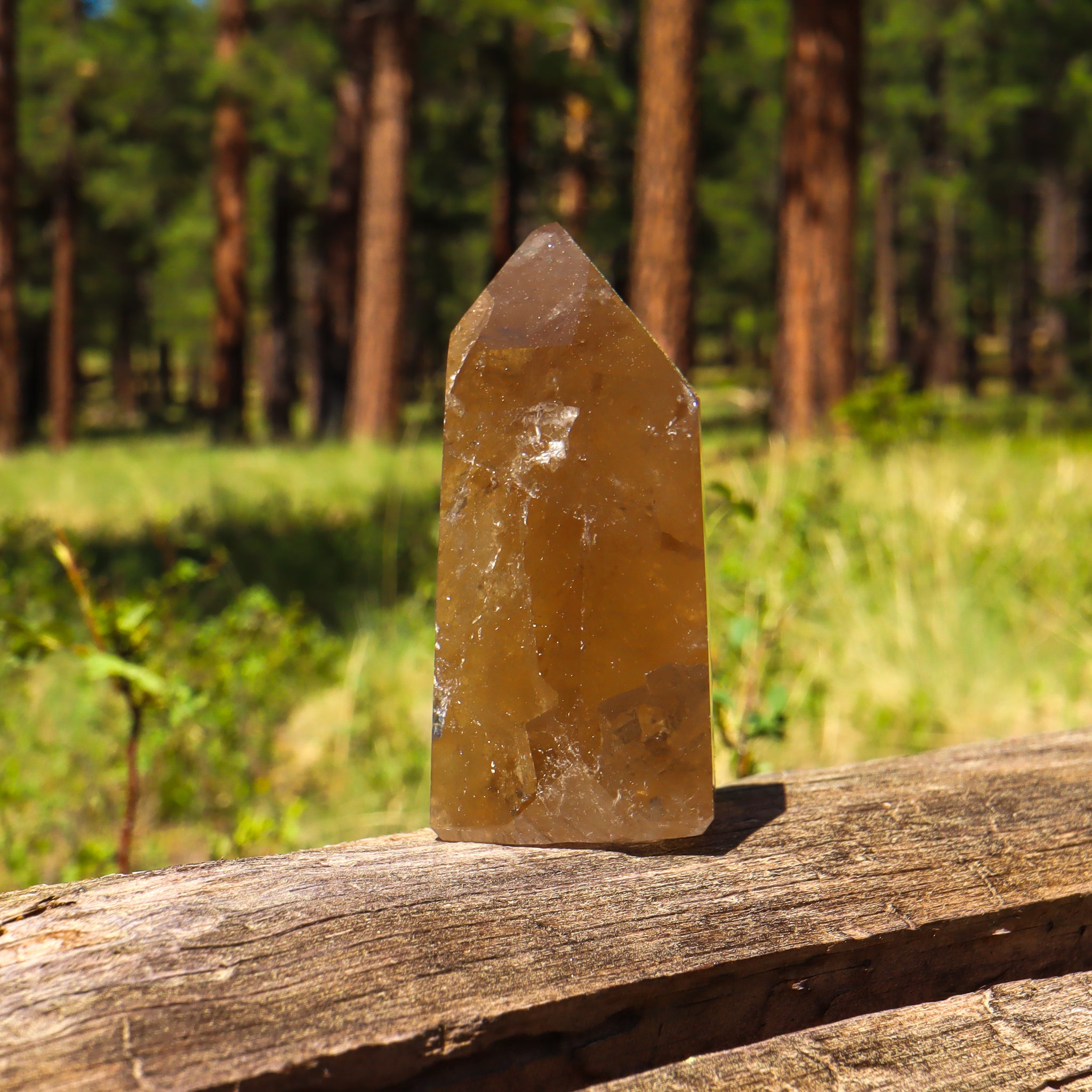 Natural Citrine Point