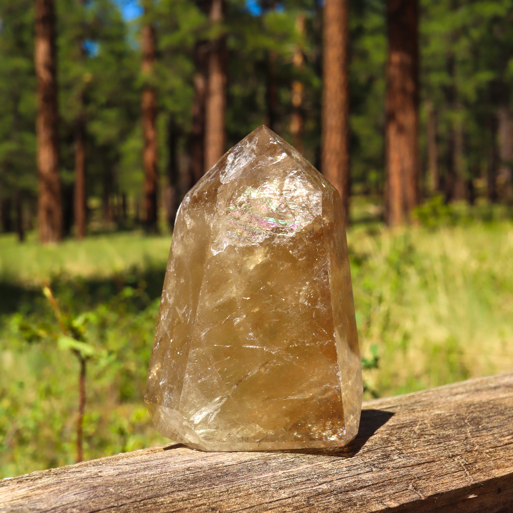 Natural Citrine Point