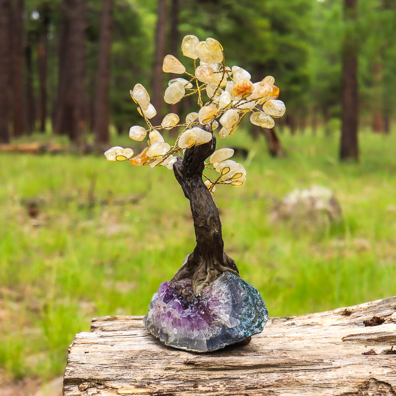 Unique Citrine Crystal Tree