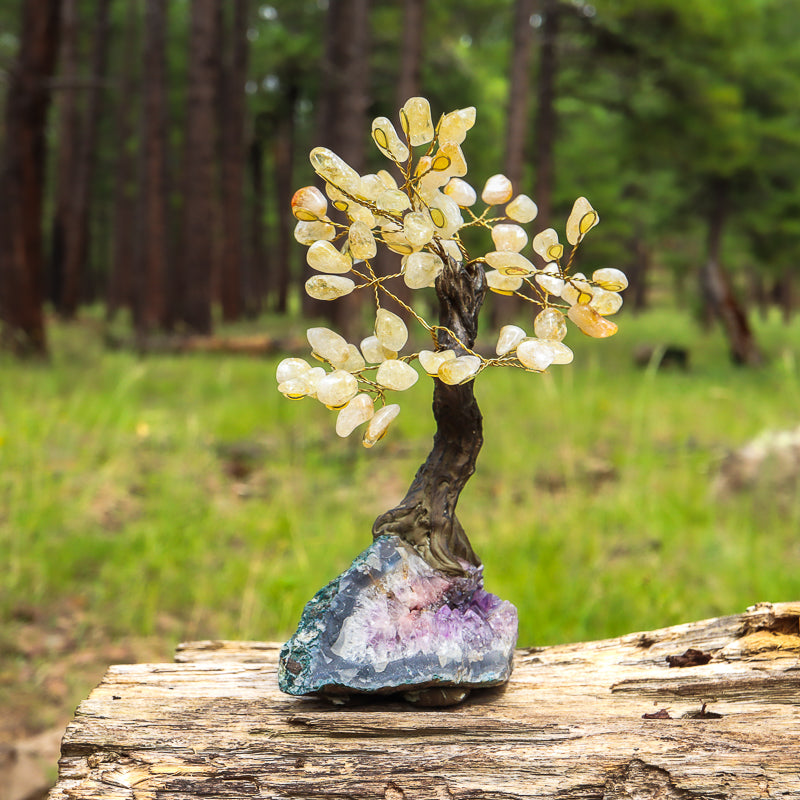 Unique Citrine Crystal Tree