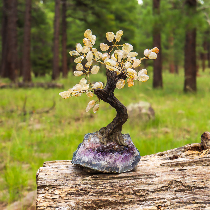 Unique Citrine Crystal Tree