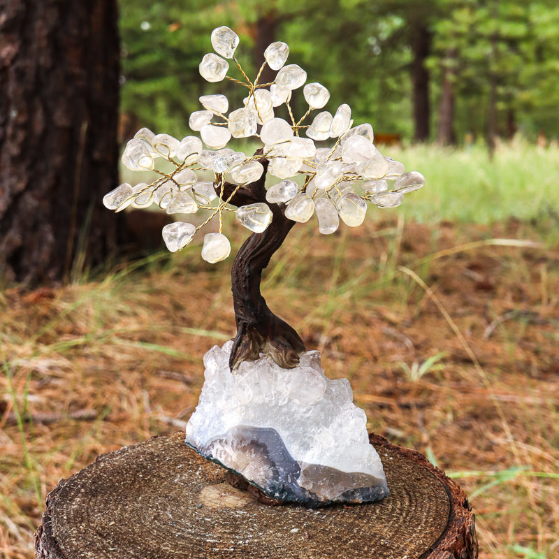 Unique Clear Quartz Tree