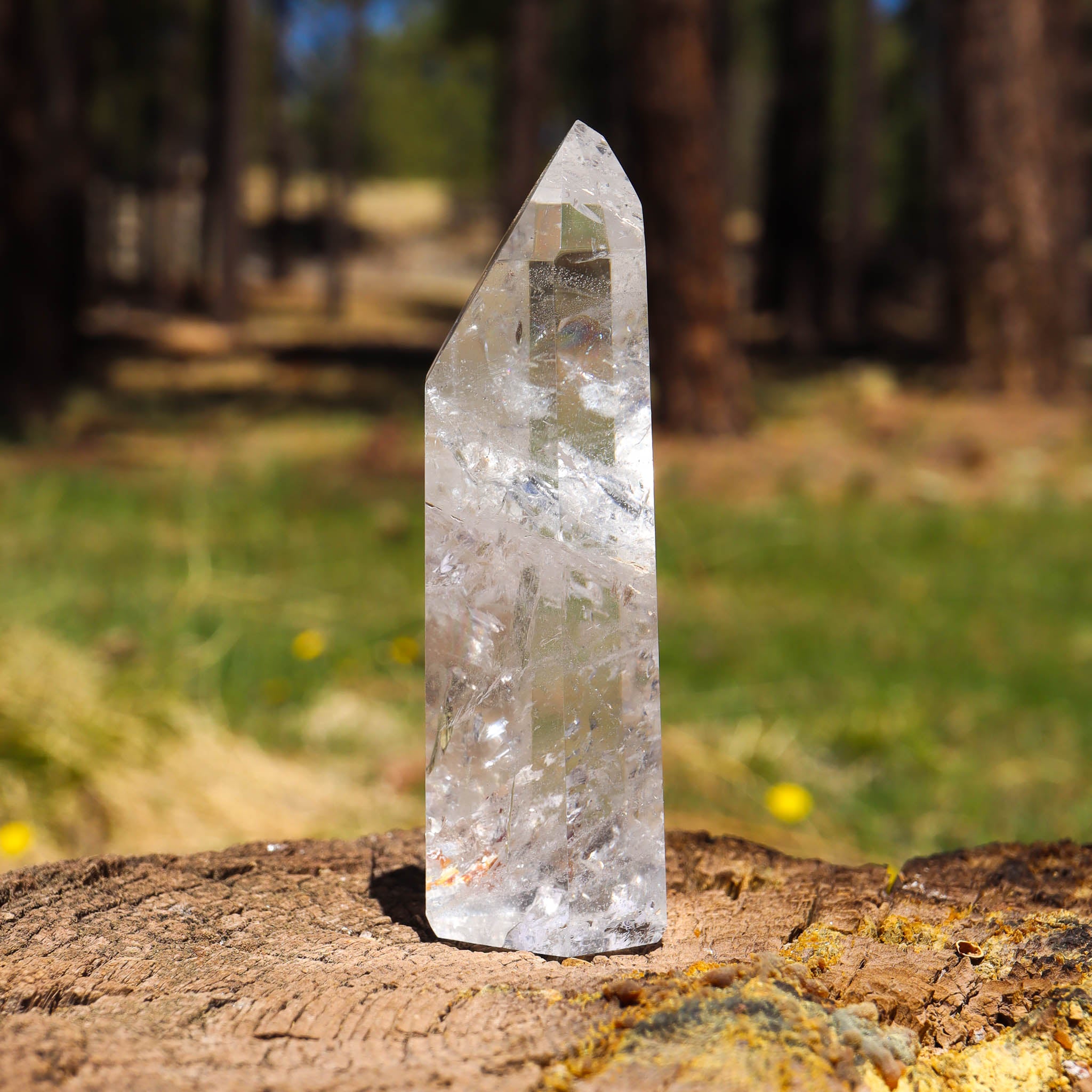 Clear Quartz Point