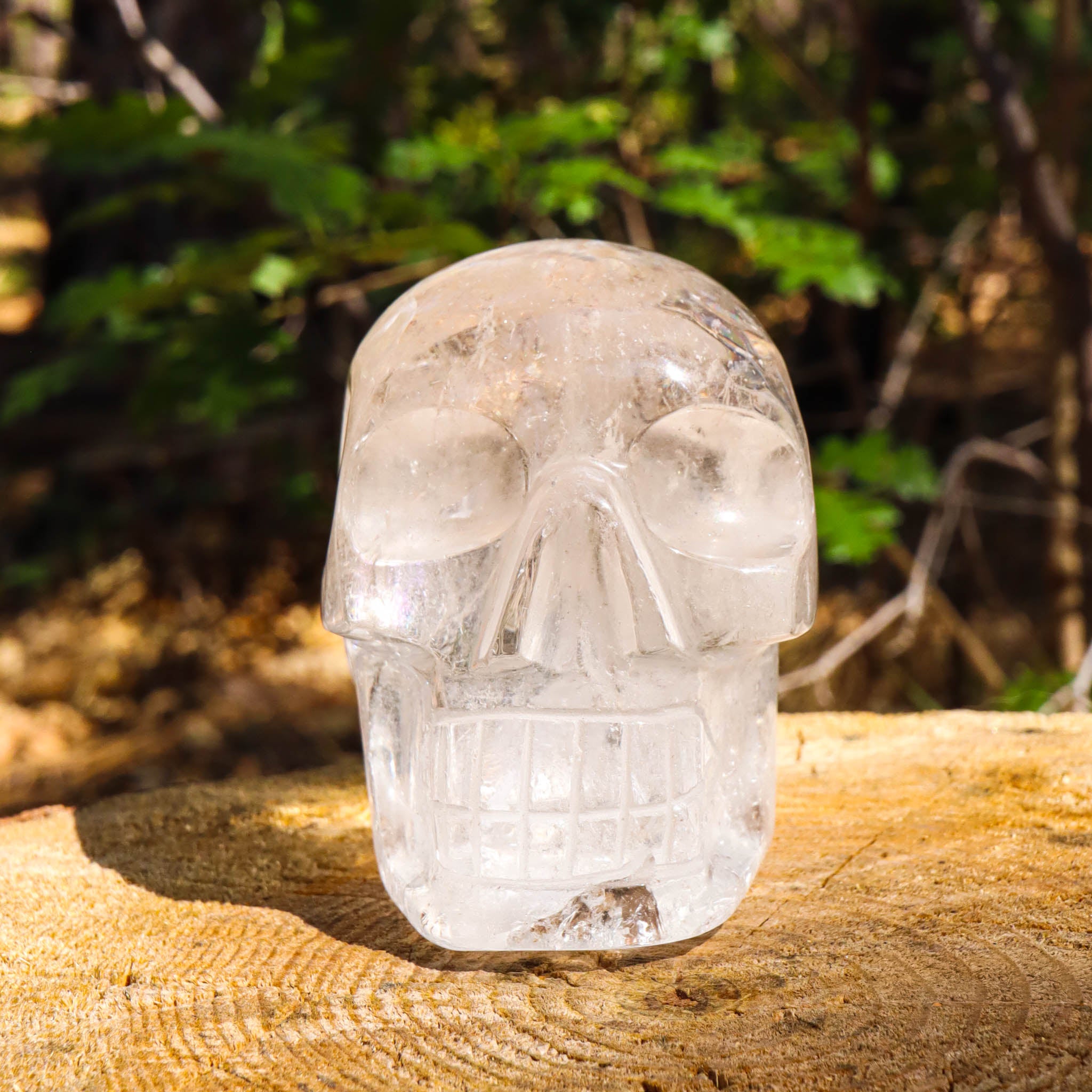 Clear Quartz Skull