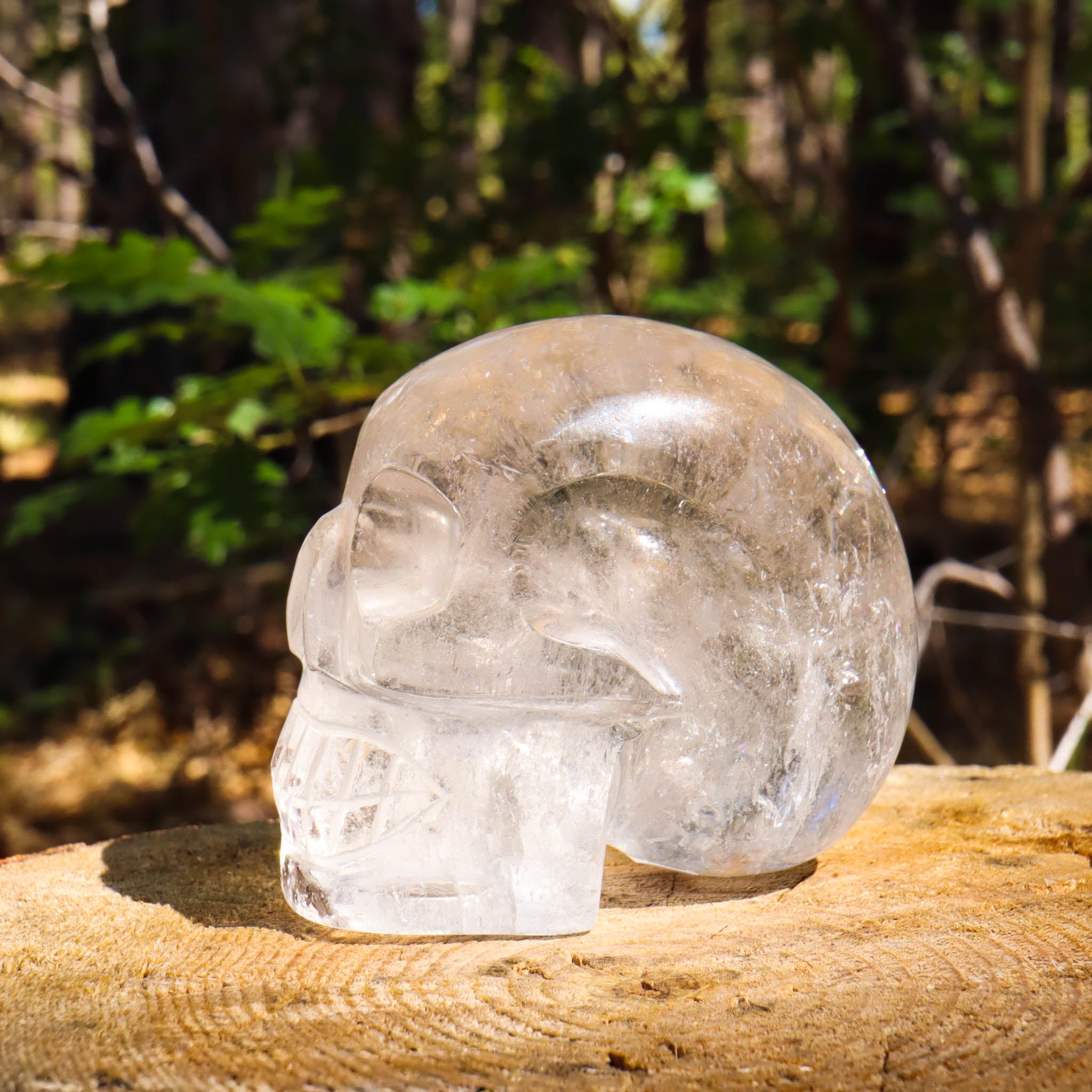 Clear Quartz Skull