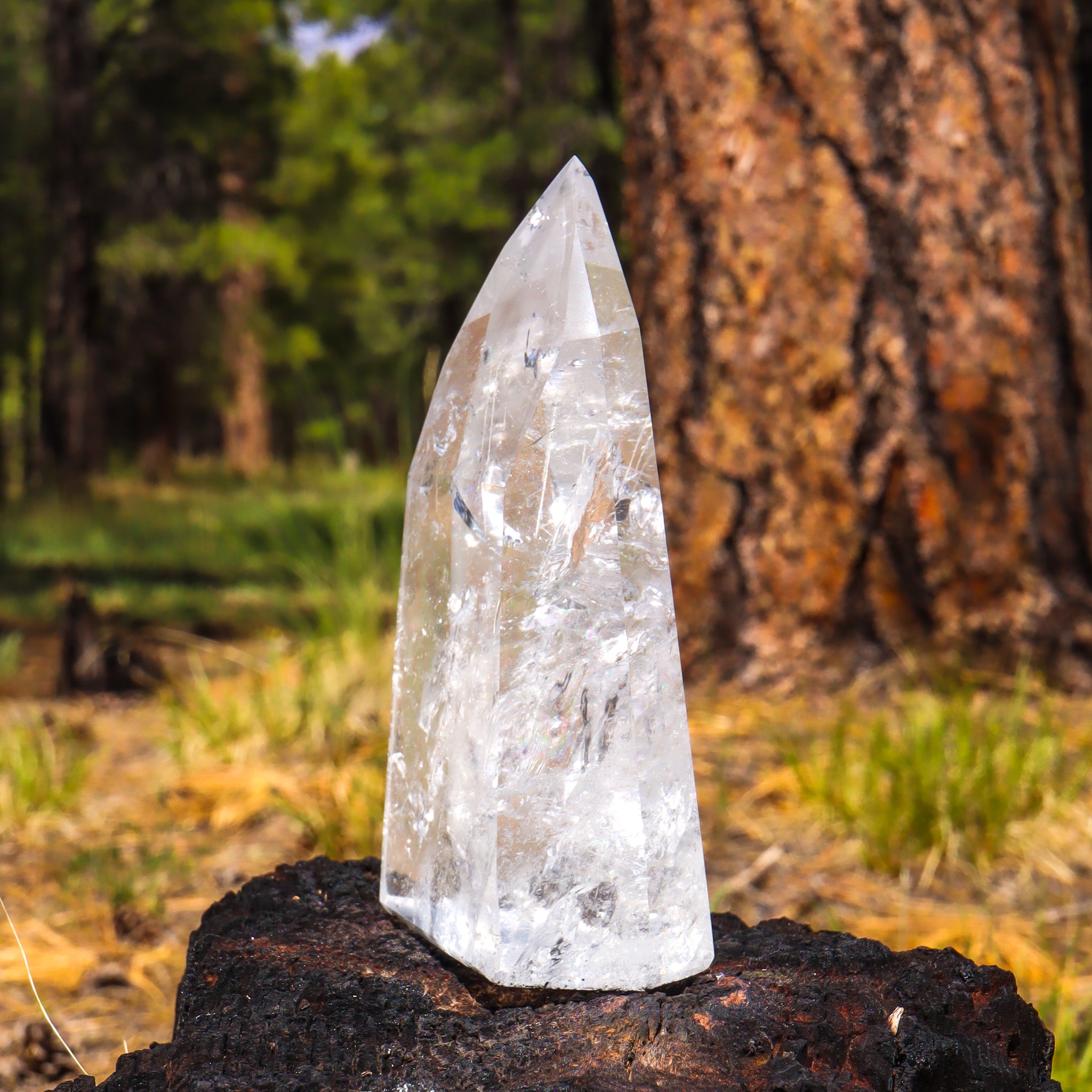 Clear Quartz Point