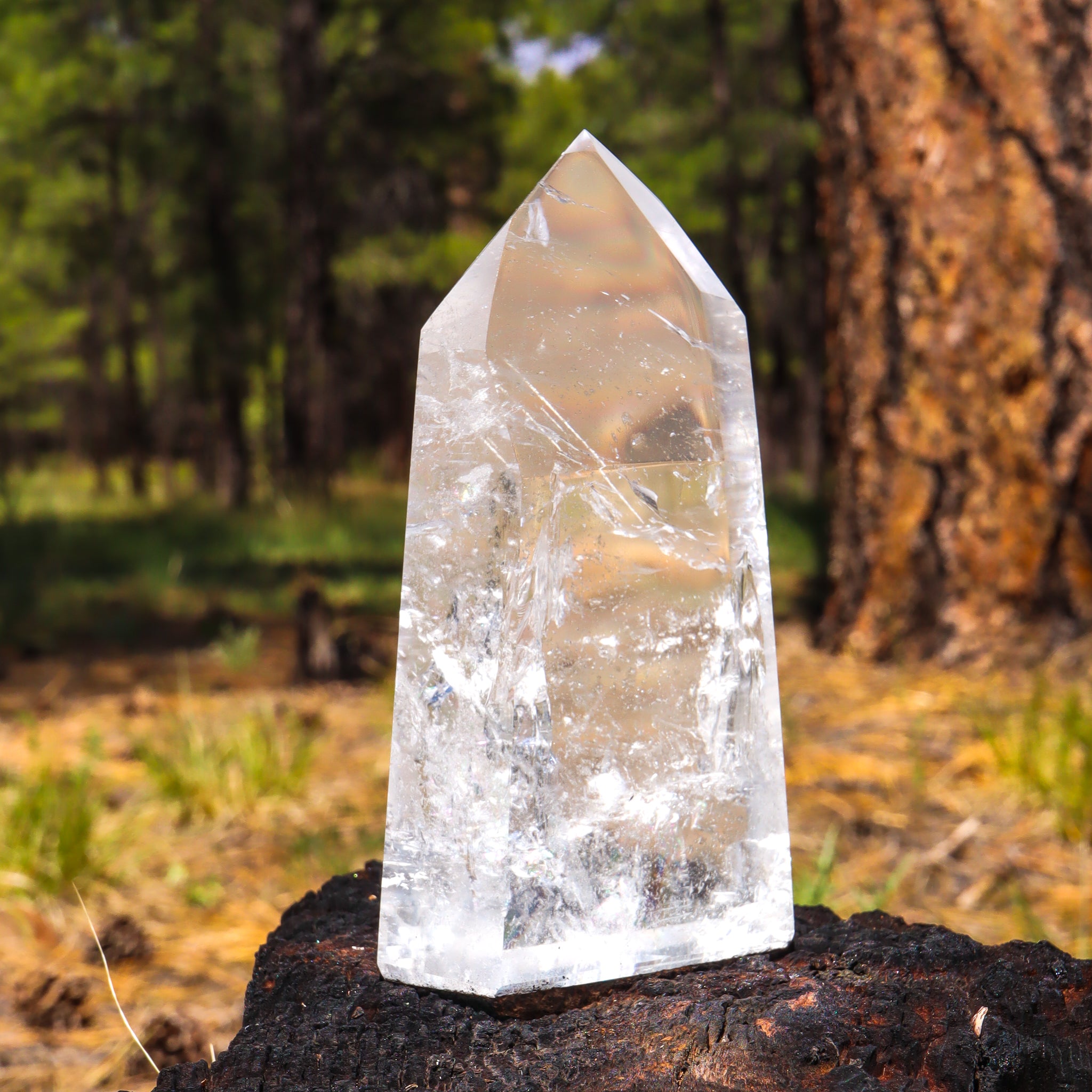 Clear Quartz Point