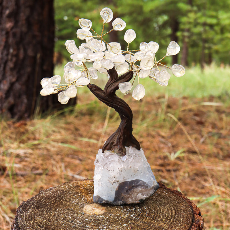 Unique Clear Quartz Tree