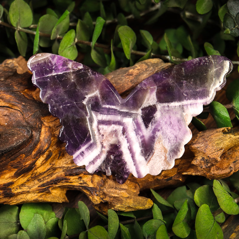 Amethyst Chevron Carved Butterfly