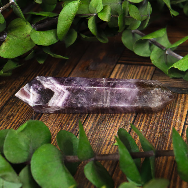 Double Terminated Amethyst Chevron Point