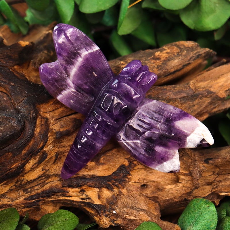 Amethyst Chevron Carved Dragonfly
