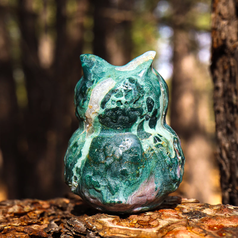 Fancy Agate Carved Owl