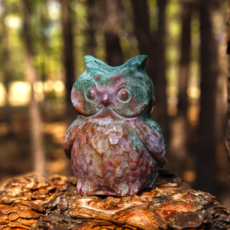 Fancy Agate Carved Owl