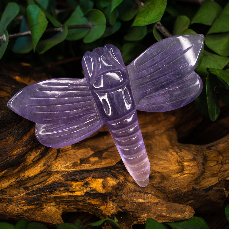 Fluorite Carved Dragonfly
