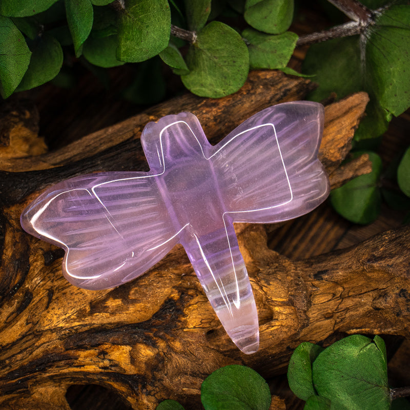 Fluorite Carved Dragonfly