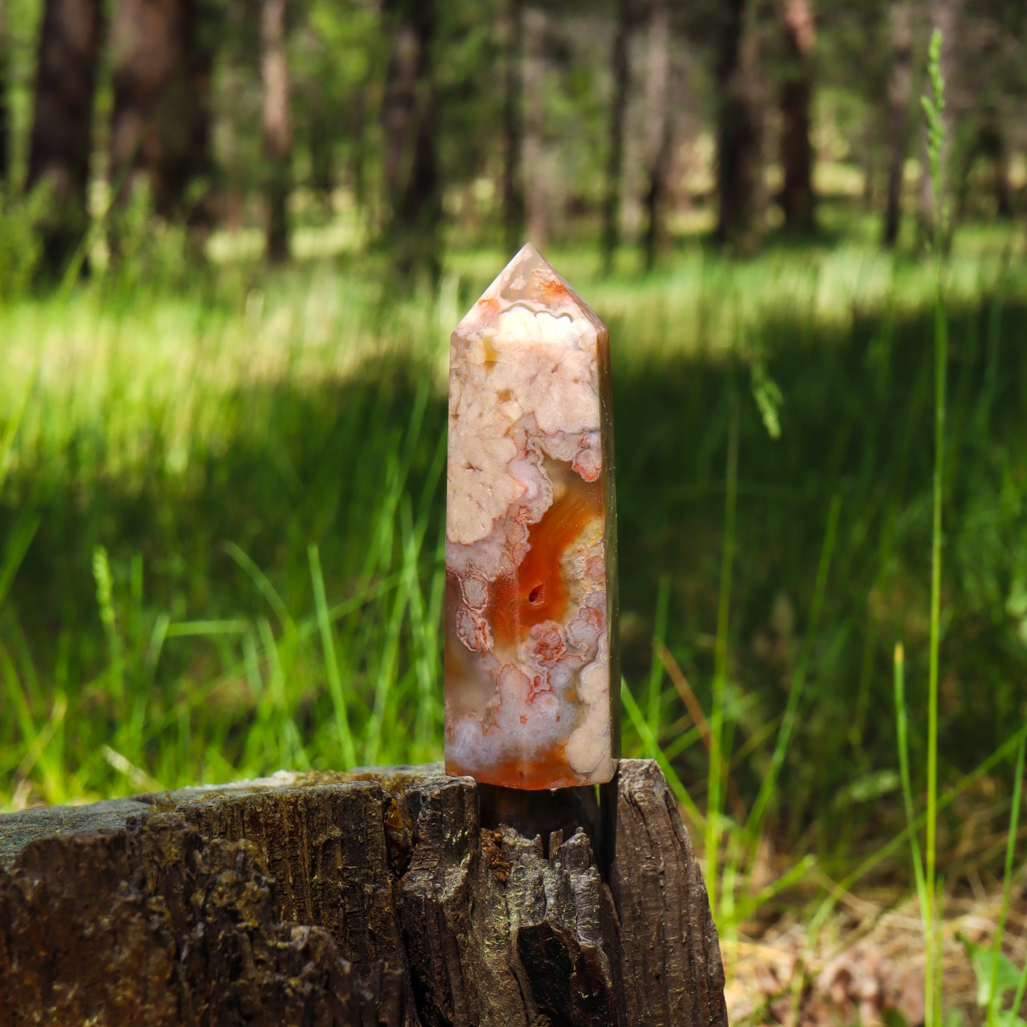 Flower Agate Point