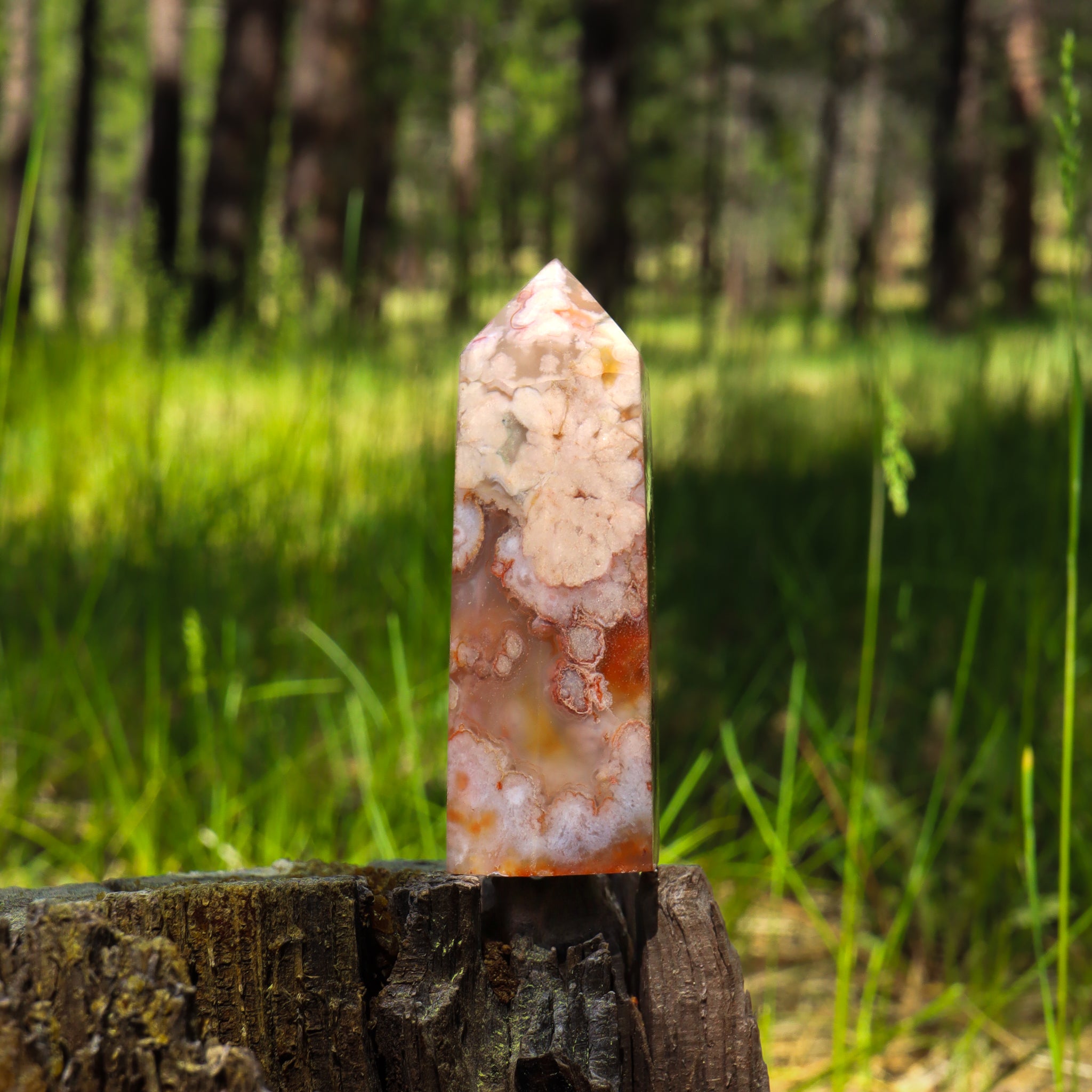 Flower Agate Point
