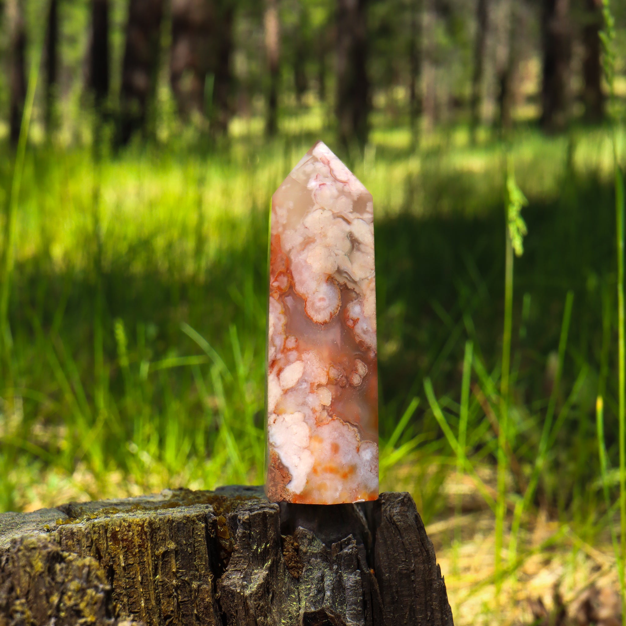 Flower Agate Point